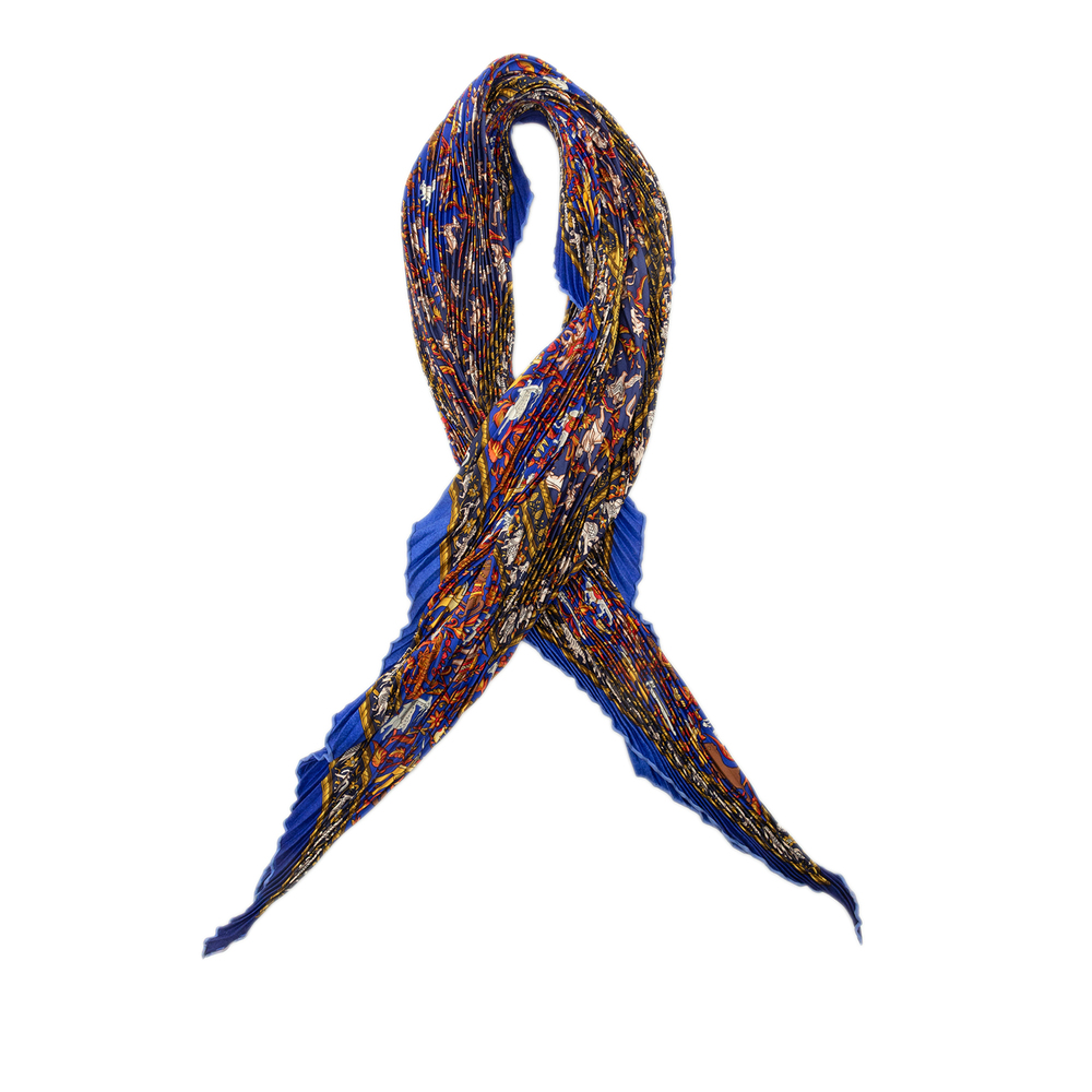 Pre-Loved Hermes Chasse en Inde Pleated Silk Scarf 140
